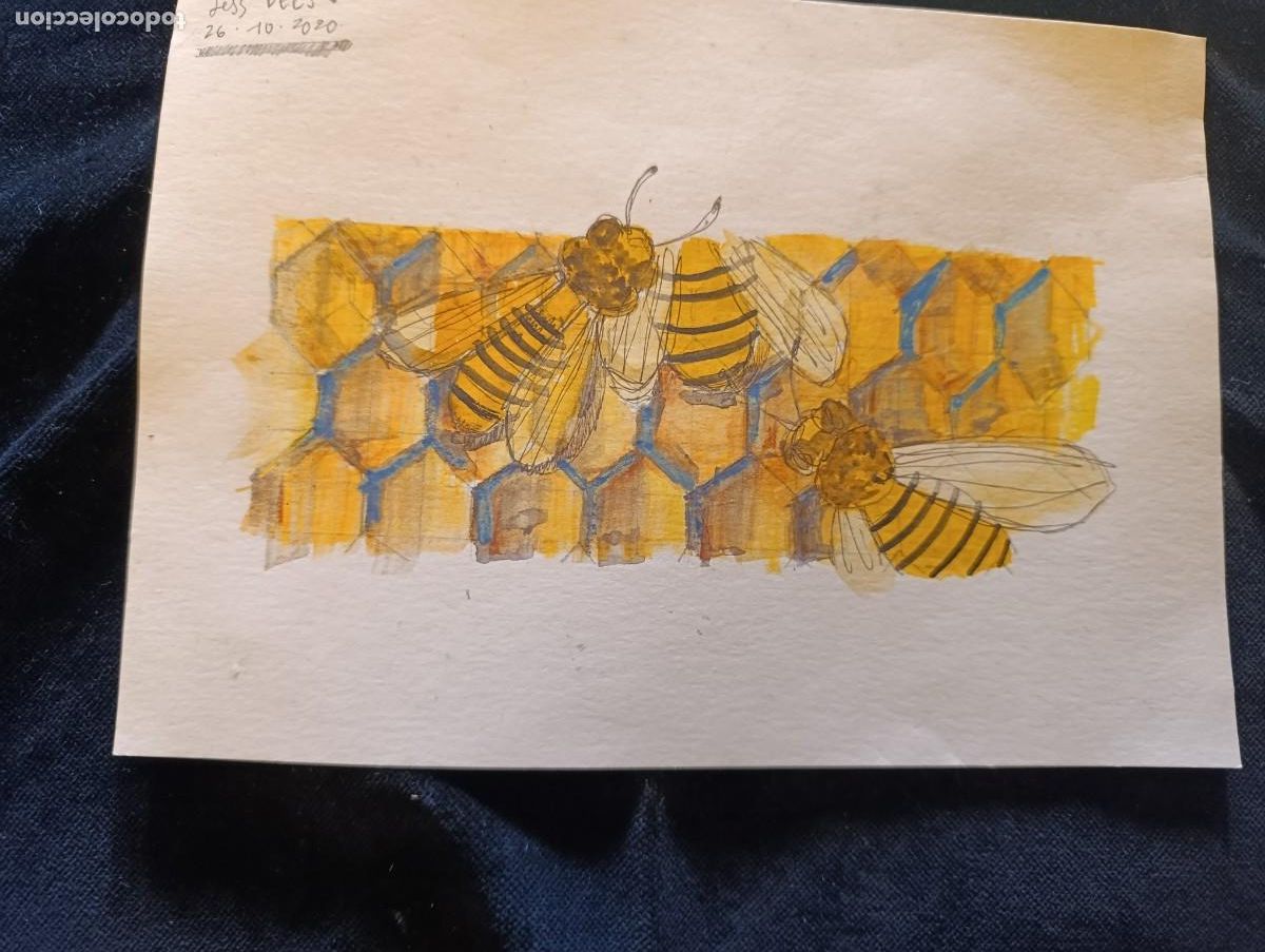 Arte: Acuarela sobre cartulina de abejas firmada Jess Bees