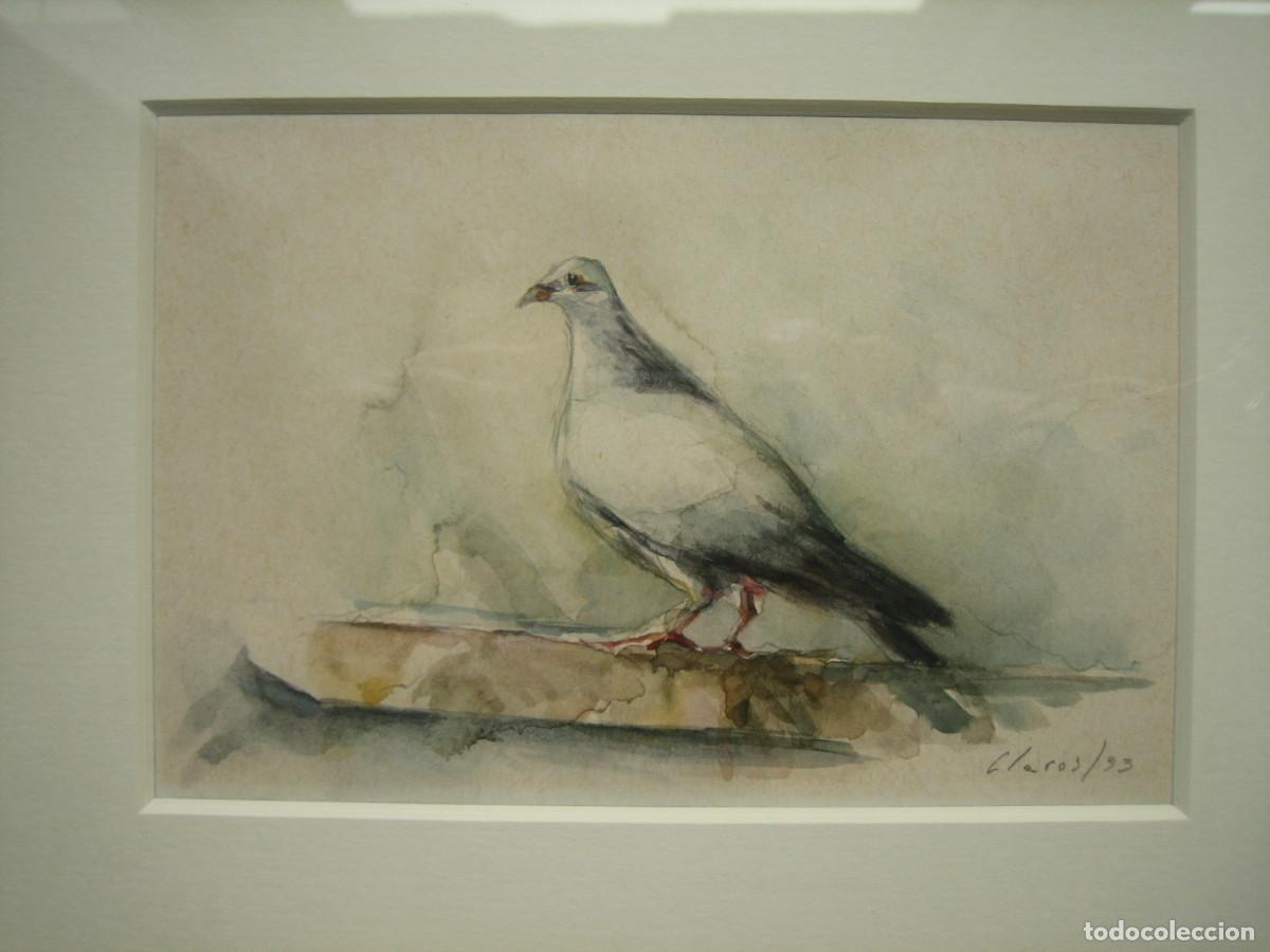 Arte: PALOMA. ACUARELA DEL PINTOR MURCIANO JOS&Eacute; CLAROS, A&Ntilde;O 1993........ CON DESCUENTO DEL 50%