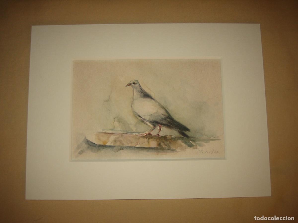 Arte: PALOMA. ACUARELA DEL PINTOR MURCIANO JOS&Eacute; CLAROS, A&Ntilde;O 1993........ CON DESCUENTO DEL 50%
