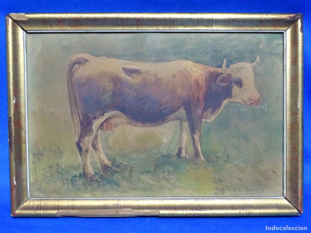 Arte: ACUARELA JOSEP MAR&Iacute;A MARQUES I GARCIA (TORTOSA 1862-BARCELONA 1938). VACA.