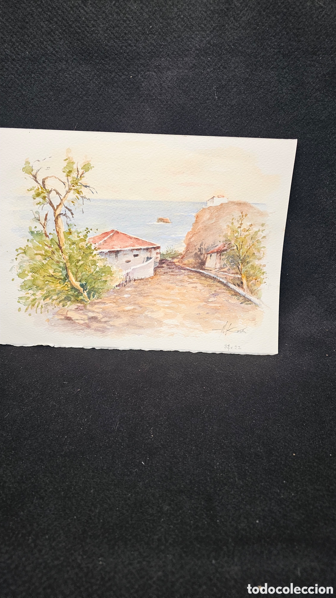 Arte: Acuarela paisaje canario