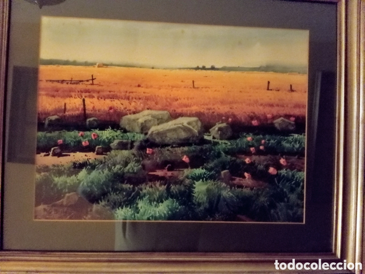 Arte: Trigales al atardecer - Foto 1