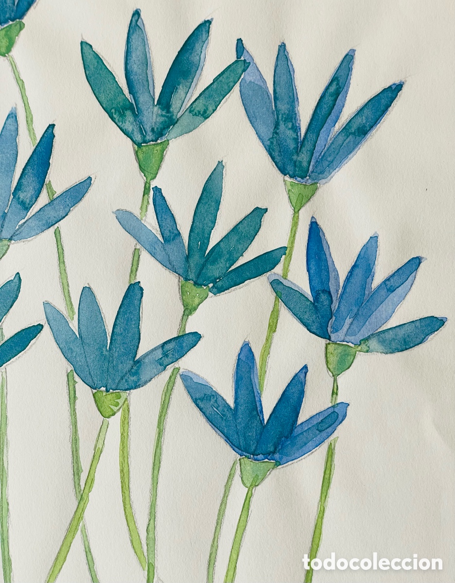 Arte: Flors Blaves. Acuarela