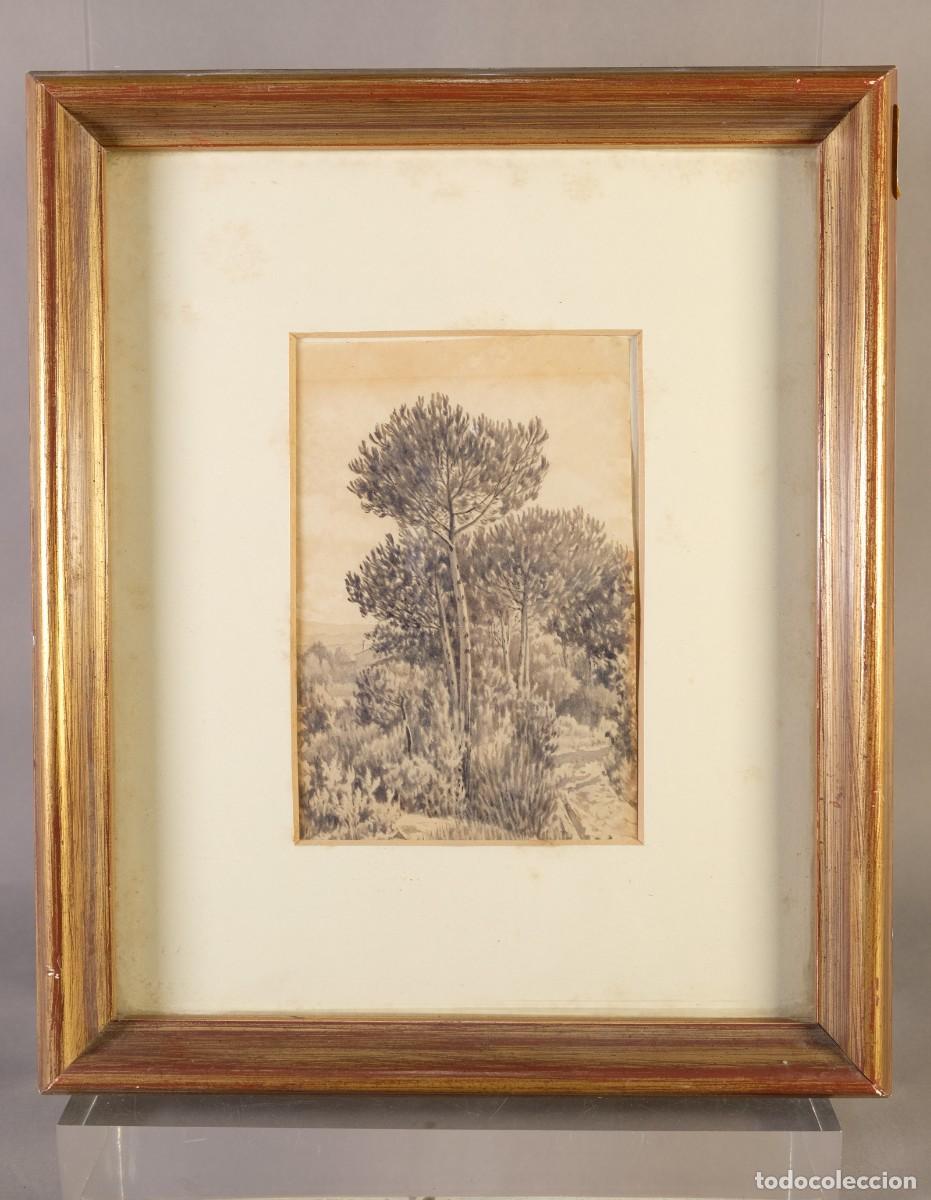 Art: EDUARD ROIG ENSE&Ntilde;AT (BARCELONA, 1870-1949) Acuarela sobre papel &rdquo;Paisaje campo&rdquo; Firmado.