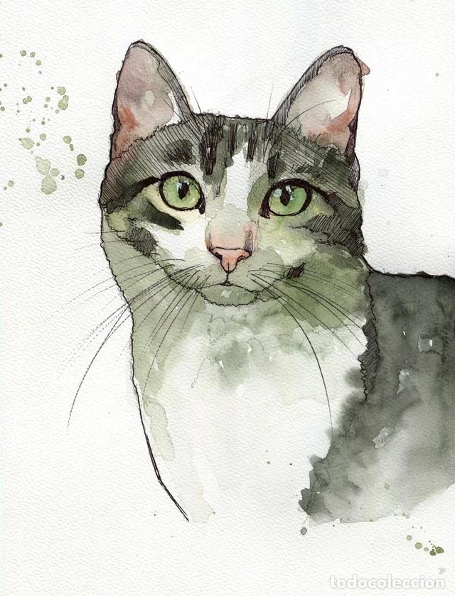Arte: Dipinto originale ad acquerello e penna firmato di gatto