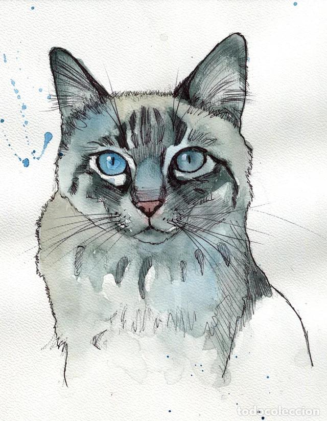 Arte: Dipinto originale ad acquerello e penna firmato di gatto