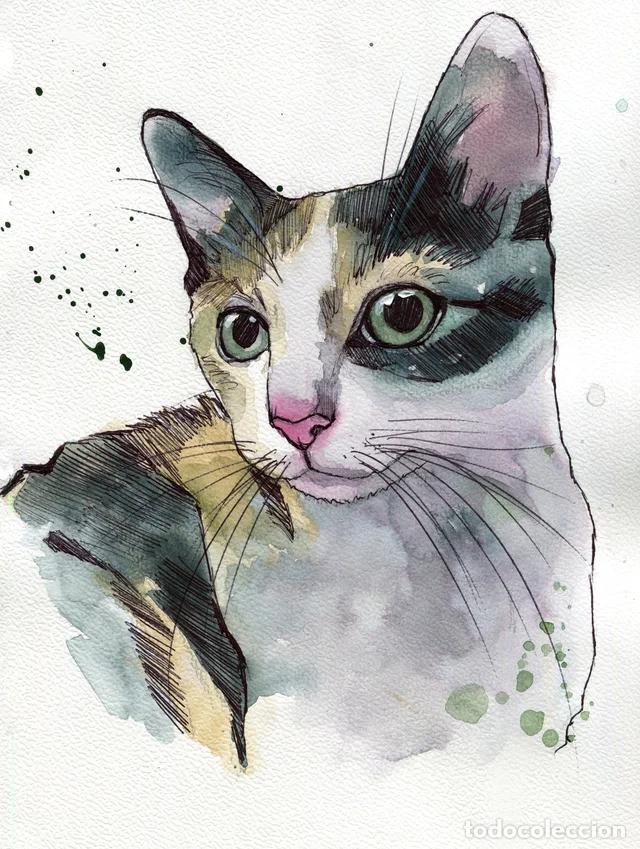 Arte: Dipinto originale ad acquerello e penna firmato di gatto