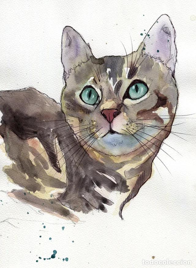 Arte: Dipinto originale ad acquerello e penna firmato di gatto