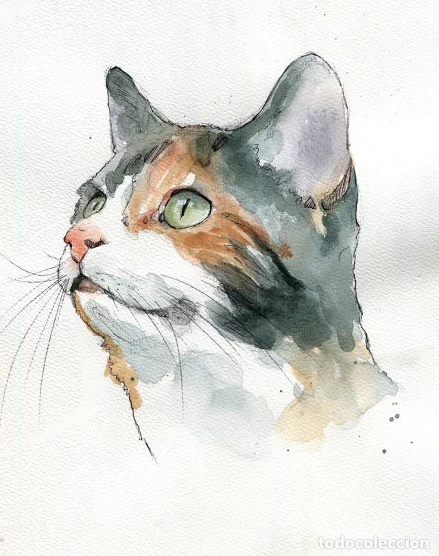 Arte: Dipinto originale ad acquerello e penna firmato di gatto