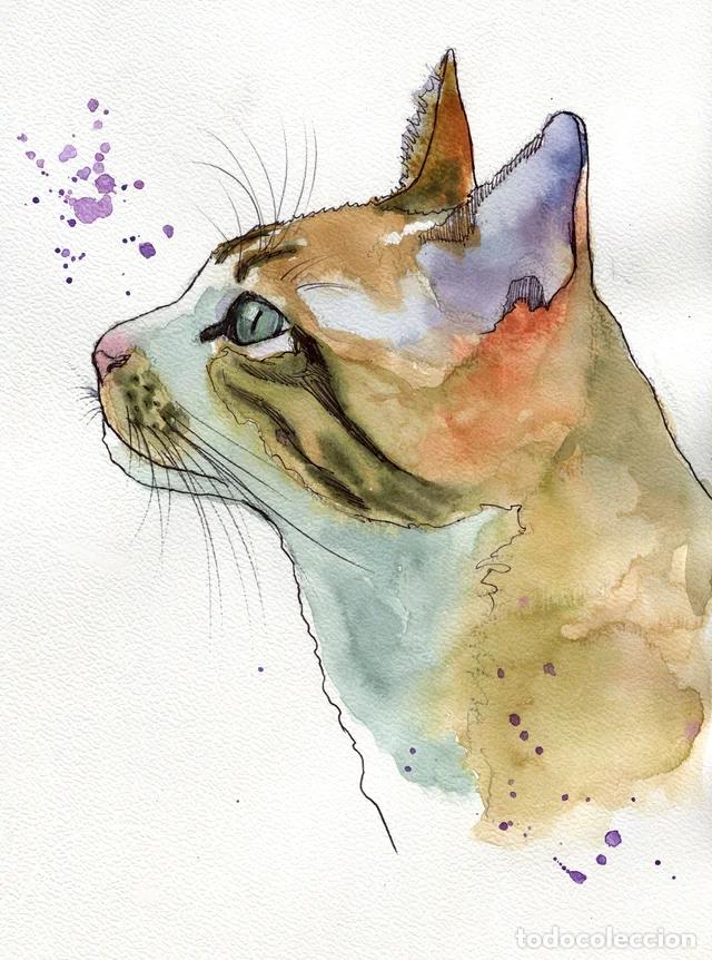 Arte: Dipinto originale ad acquerello e penna firmato di gatto rosso arancione