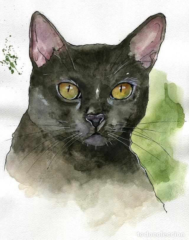 Arte: Dipinto originale ad acquerello e penna firmato di gatto nero