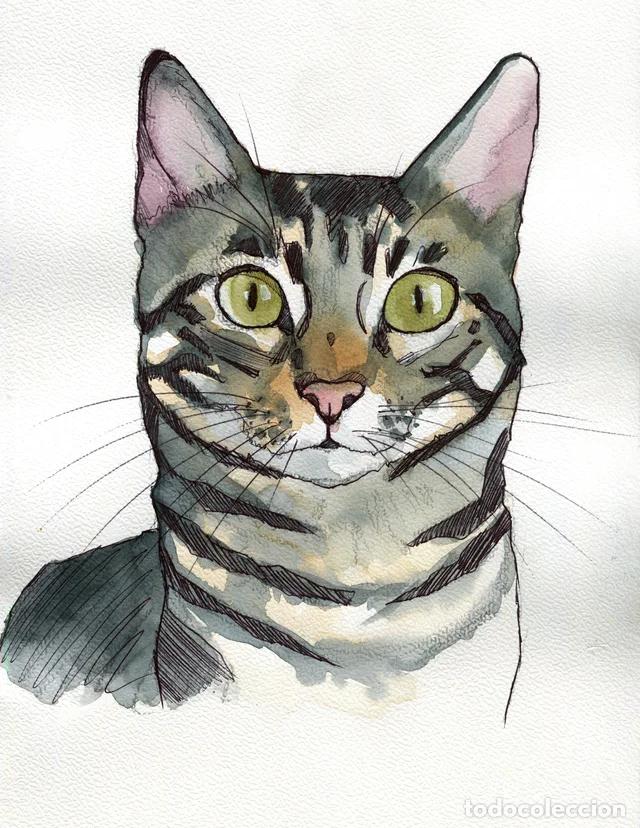 Arte: Dipinto originale ad acquerello e penna firmato di gatto striato