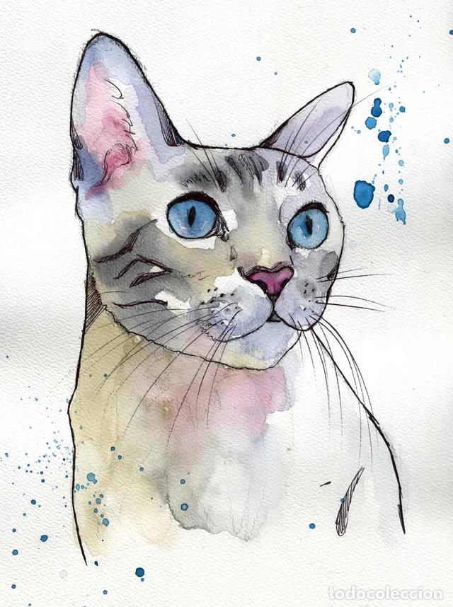Arte: Dipinto originale ad acquerello e penna firmato di gatto con occhi blu