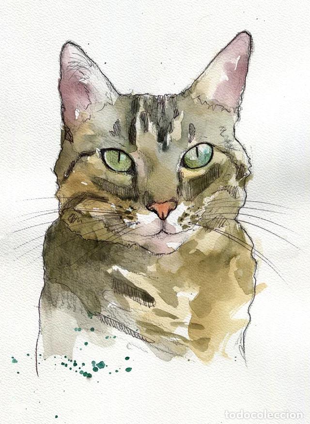 Arte: Dipinto originale ad acquerello e penna firmato di gatto