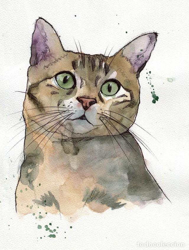 Arte: Dipinto originale ad acquerello e penna firmato di gatto