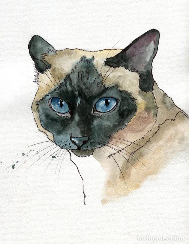 Arte: Dipinto originale ad acquerello e penna firmato di gatto Siamese
