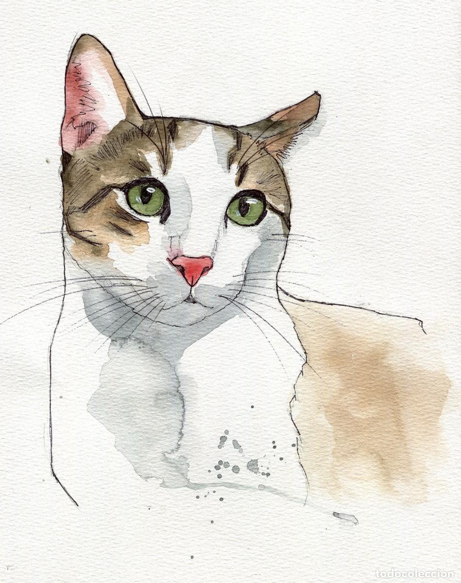 Arte: Dipinto originale ad acquerello e penna firmato di gatto