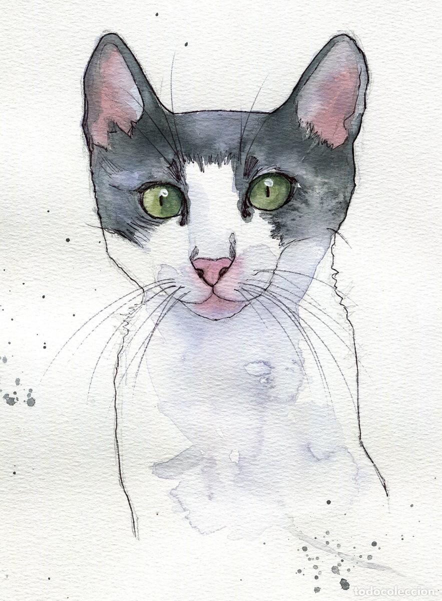 Arte: Dipinto originale ad acquerello e penna firmato di gatto