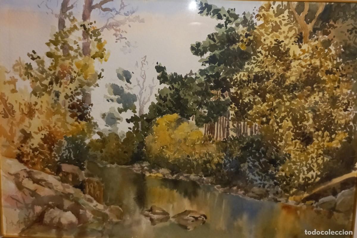 Arte: &rdquo;Rio en oto&ntilde;o&rdquo; Jos&eacute; Ruiz Garcia Trejo (Lorca 1909-Murcia 1987) Disc&iacute;pulo de Juan Bonaf&eacute;