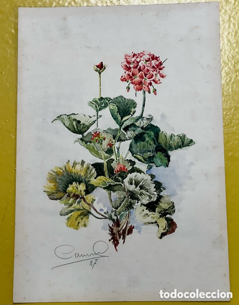 Arte: Escuela Europea siglo XX. &ldquo;Flores&rdquo;. Acuarela. Firmada CAMM. 1987.
