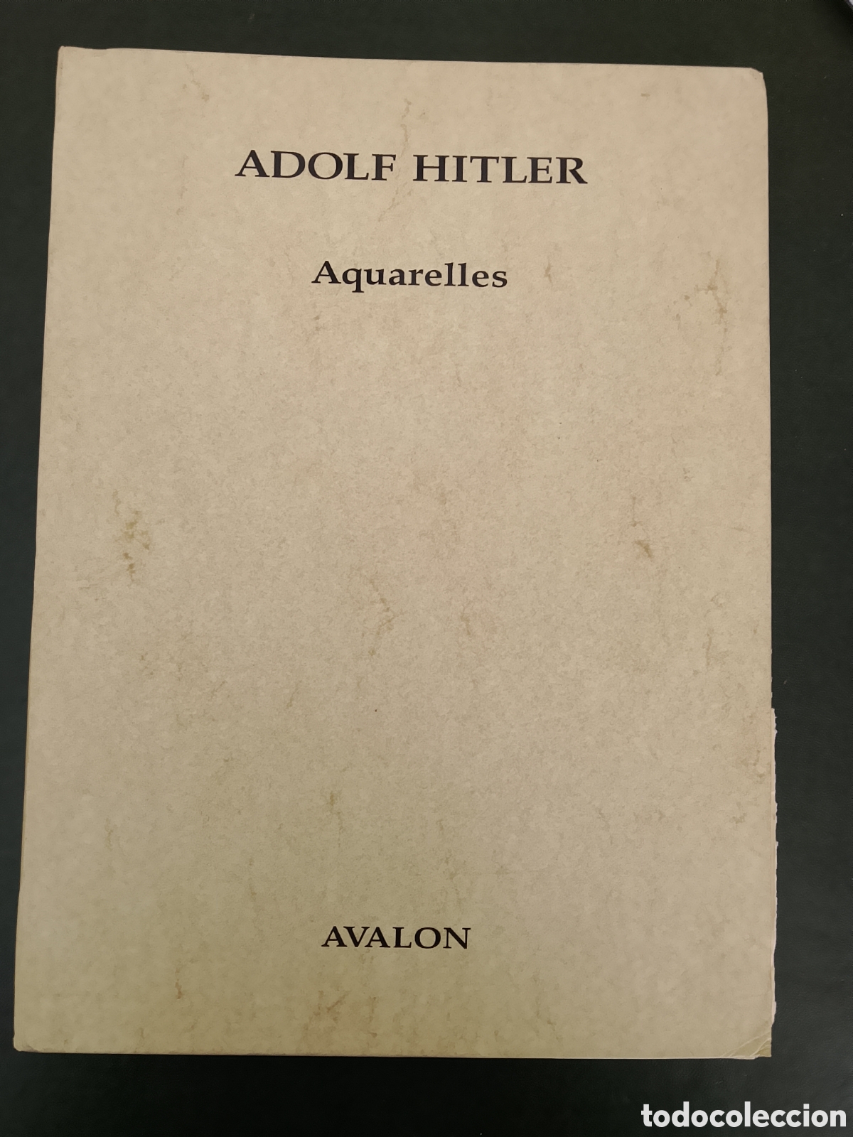 Arte: Adolfo Hitler-Aqyusrelles Avalon- 1988-acuarelas de 1914 a 1917- frente flandes