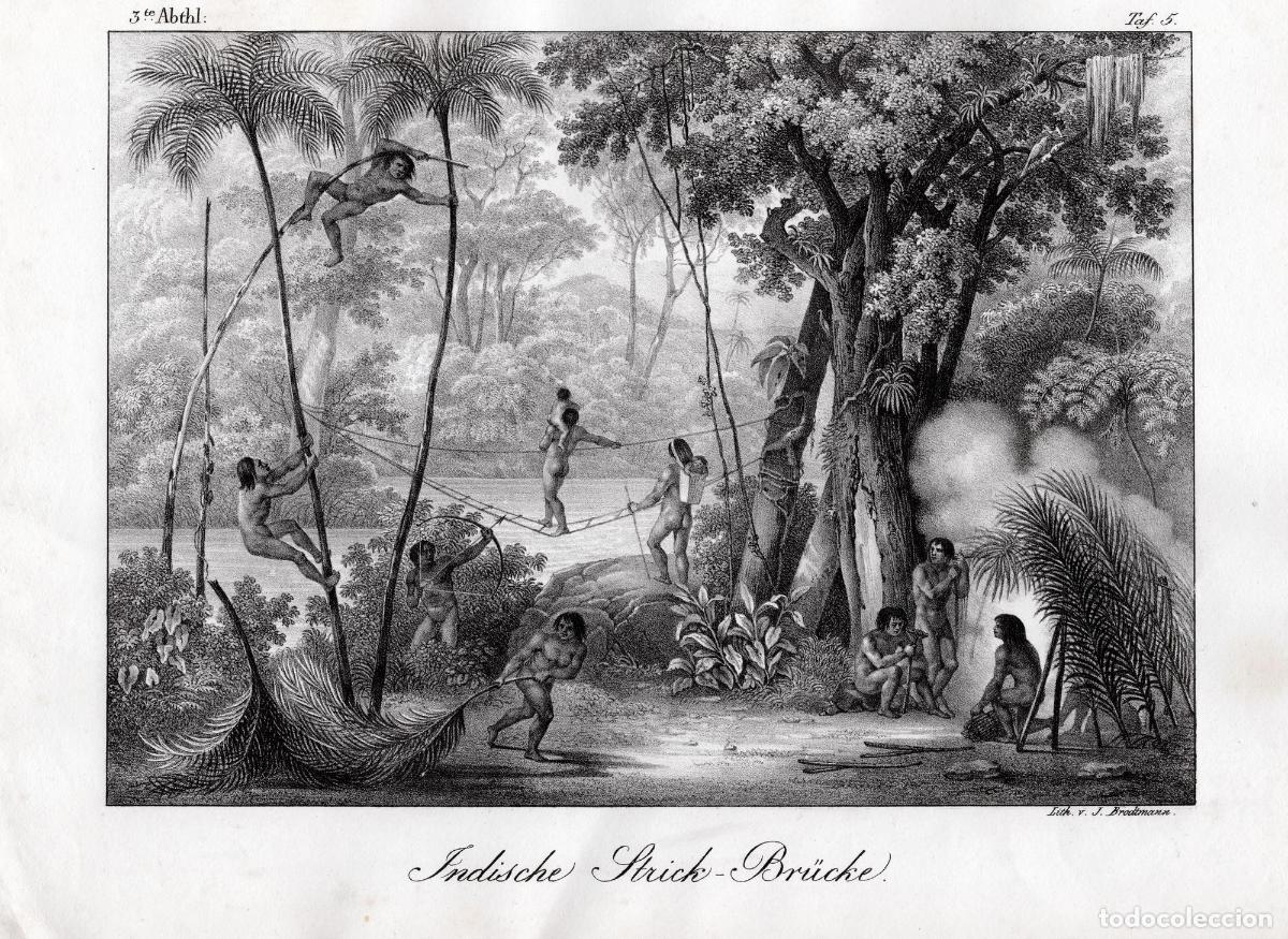 Art: Grabado de Brasil: [Brazil / Brasil] Indische Strick-Br&uuml;cke [Ponte do cip&oacute;] - Rugendas, Johann Morit