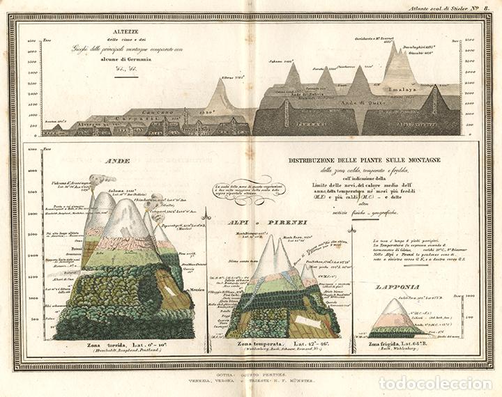 Arte: CARTA DE LA DISTRIBUCI&Oacute;N DE LAS PLANTAS SEG&Uacute;N LA ALTITUD, DE 1865, JUSTUS PERTHES, GRABADO COBRE