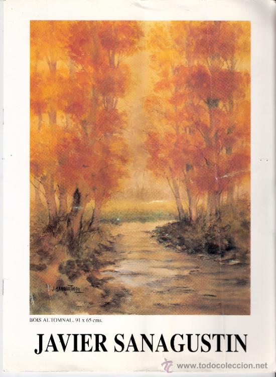 Arte: Javier Sanagust&iacute;n.Exposition D' Aquarelles. Mayo 1995. Centre Saint Louis. Par&iacute;s.27 x 20 cmtrs.8 p&aacute;g
