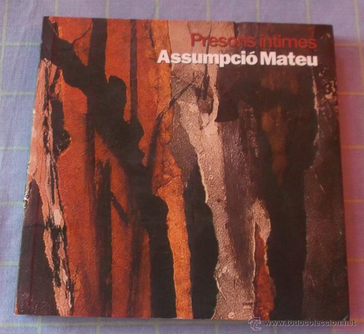 Arte: Presons intimes Assumpcion Mateu   Fundacion vila casas  catalogo de la exposicion