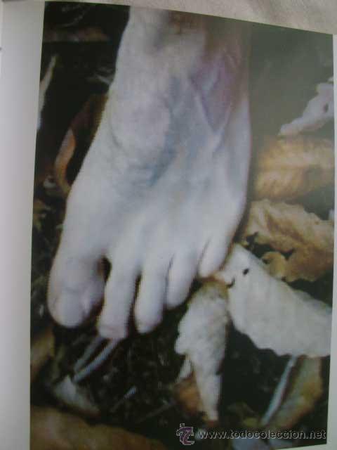 Arte: GARY HILL. 1993 - Foto 2