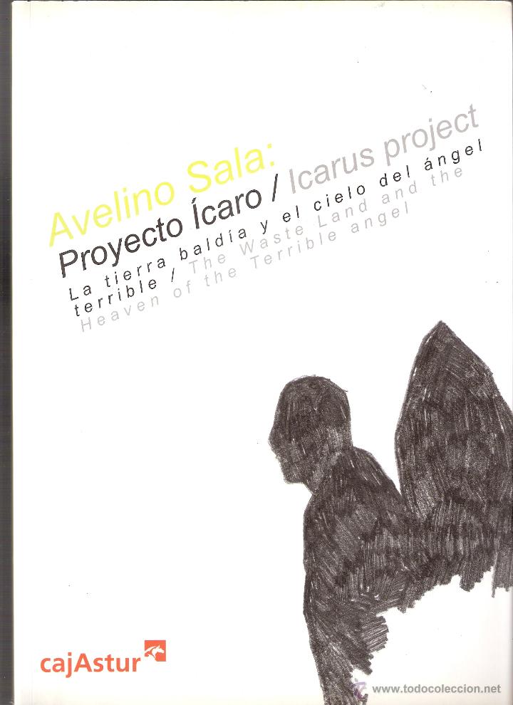 Art: Avelino Sala. Proyecto &Iacute;caro / Icarus proyect. Palacio de Revillagigedo. Cajastur. Gij&oacute;n. 2004.
