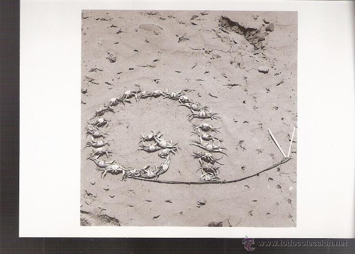Kunst: Javier Esteban. El caracol de mar. Enero 1995. Galer&iacute;a Spectrum. Zaragoza.Tarjeta inauguraci&oacute;n.