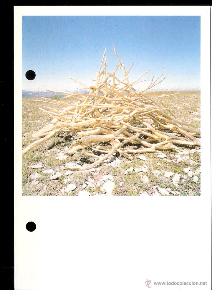 Arte: Bernard Faucon. Abril 1989. Galer&iacute;a Spectrum Sotos,Zaragoza. D&iacute;ptico. 10'3x10'5 cmtrs.