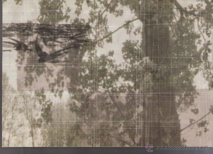 Art: Jes&uacute;s Bond&iacute;a.Paisajes de la memoria.Enero 2001. Galer&iacute;a Spectrum Sotos,Zaragoza.Tarjeta 15x10 cmtrs.