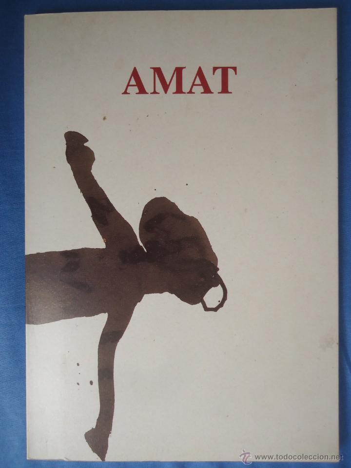 Arte: Frederic Amat (Barcelona 1952) Sala Robayera . 34 pp. - Foto 1