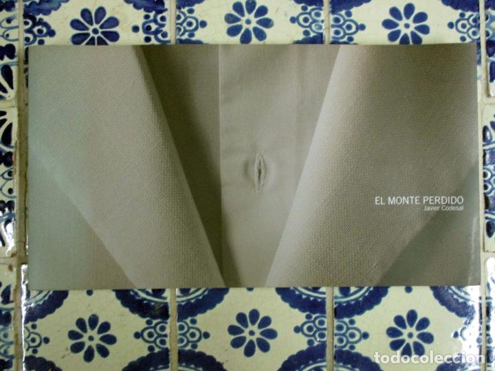 Arte: El monte perdido. Javier Codesal - Foto 1