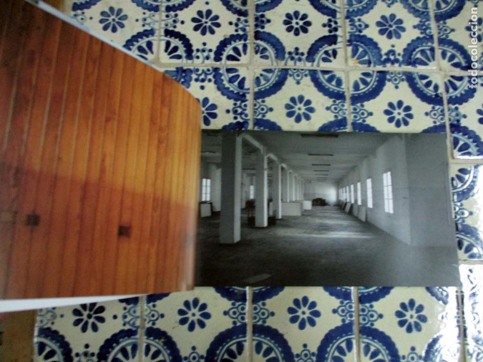 Arte: El monte perdido. Javier Codesal - Foto 4