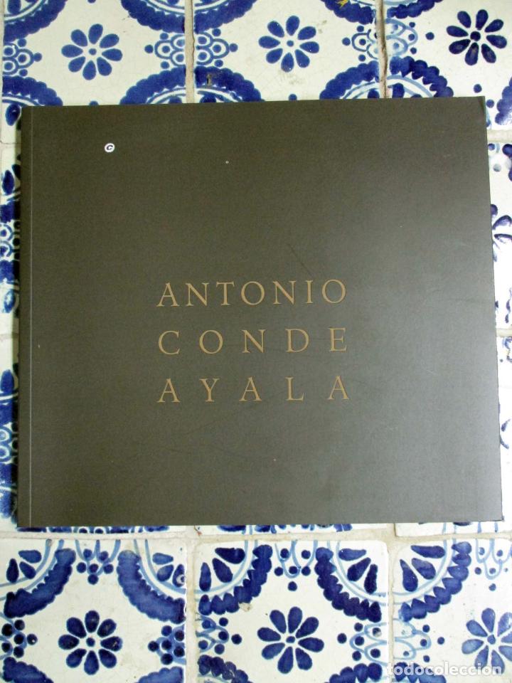 Arte: Antonio Conde Ayala - Foto 1