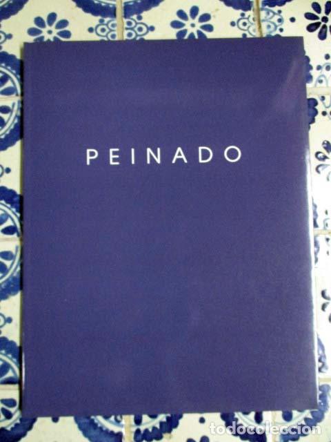 Arte: Francisco Peinado. Palacio de la Madraza 1994 - Foto 1
