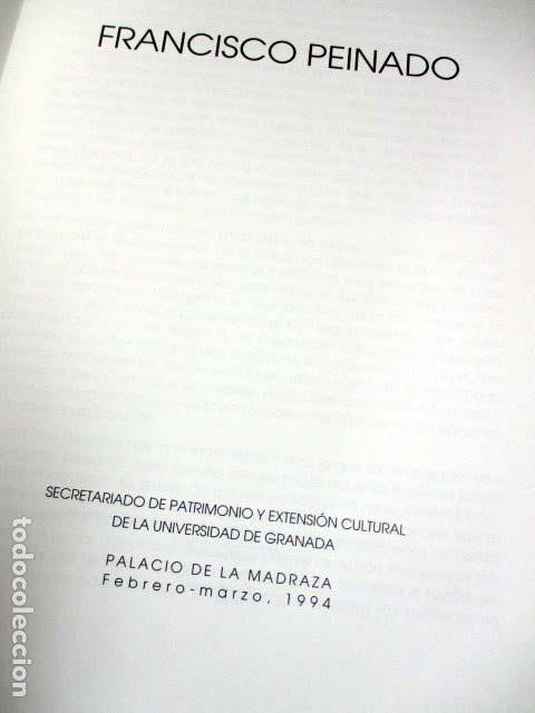 Arte: Francisco Peinado. Palacio de la Madraza 1994 - Foto 2