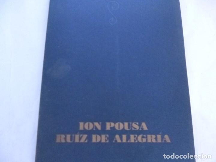 Arte: Catalogo Galeria Arte Sokoa Ion Pousa Ruiz de Alegria