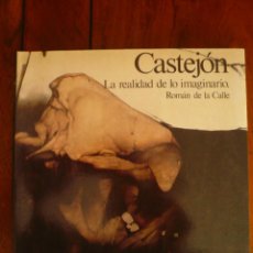 Arte: CASTEJÓN. LA REALIDAD DE LO IMAGINARIO. POR ROMAN DE LA CALLE. ED. CIMAL, 1981