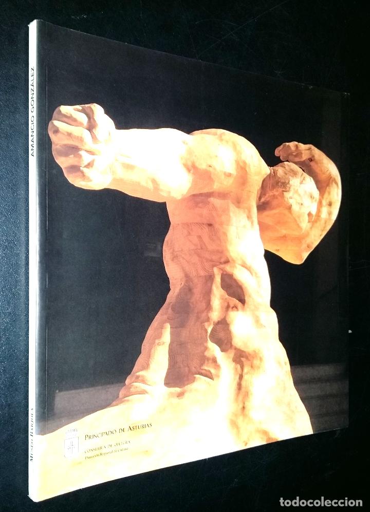 Arte: Amancio Gonzalez / museo Barjola - Foto 1