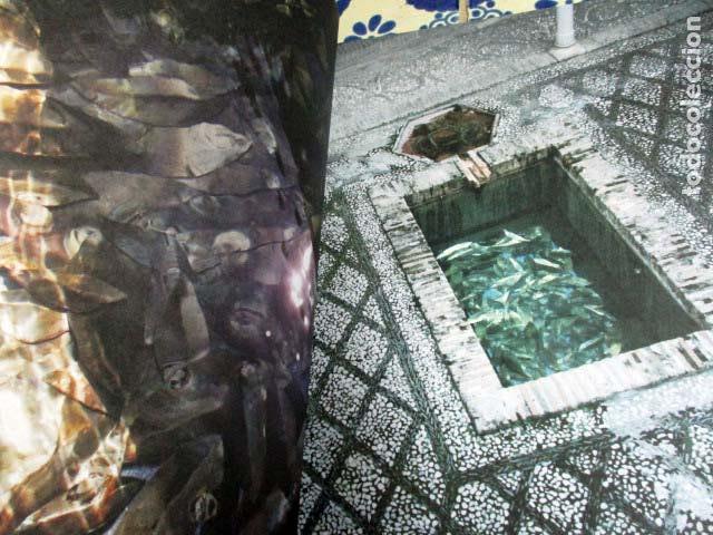 Arte: Granada - Sintra. Susana Solano - Foto 5
