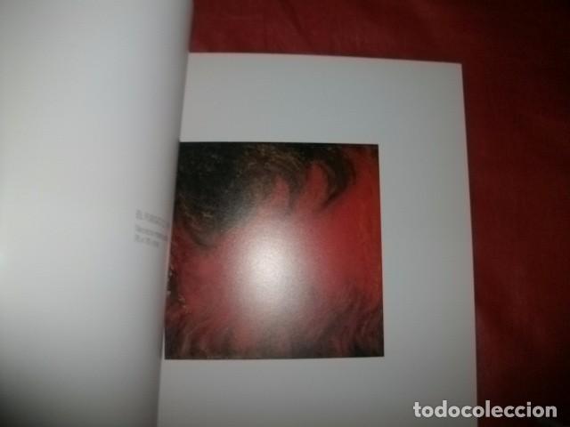 Arte: GUADALUPE RAM&Iacute;REZ  - CAT&Aacute;LOGO EXPOSICI&Oacute;N - Foto 2