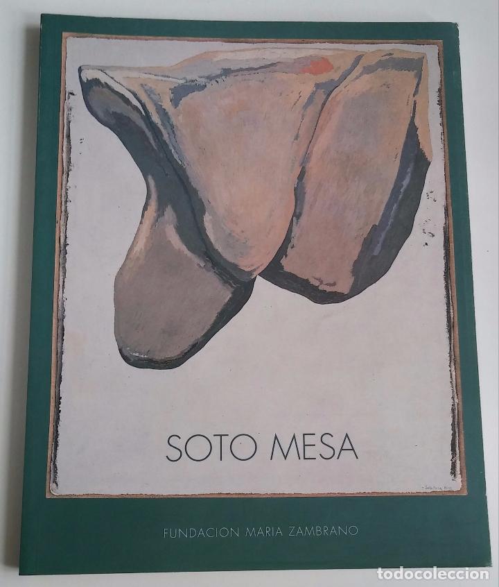Arte: Soto Mesa : Obra 1995 - 1996 - Foto 1