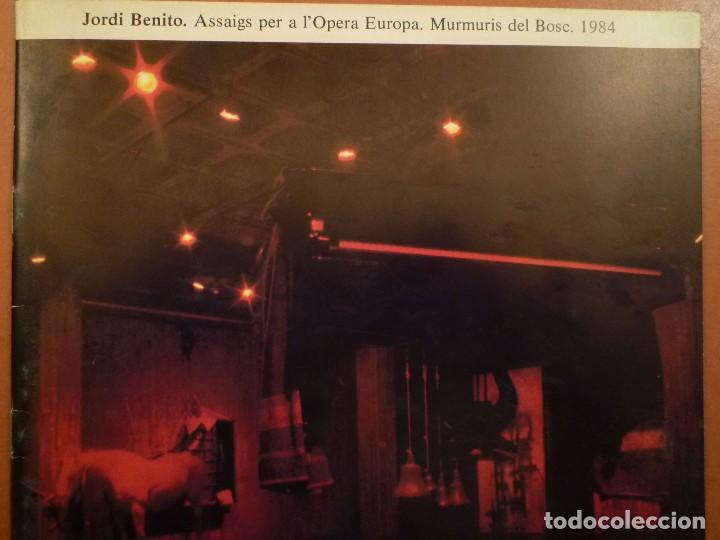 Art: ARTE CONCEPTUAL. JORDI BENITO. ASSAIGS PER A L’ÒPERA EUROPA. MURMURIS DEL BOSC. 1984