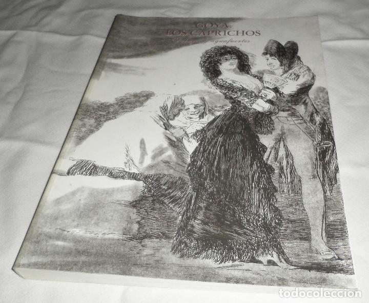 Arte: Goya  los caprichos dibujos y aguafuertes  Madrid 1994