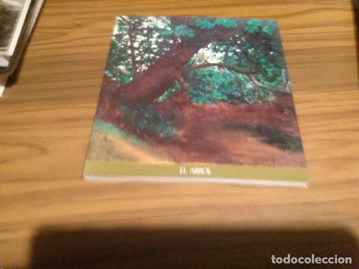 Art: EL ARBOL. CAT&Aacute;LOGO. BANCO DE GRANADA. 1974. VARIOS PINTORES. A COLOR. BUEN ESTADO. RAR&Iacute;SIMO