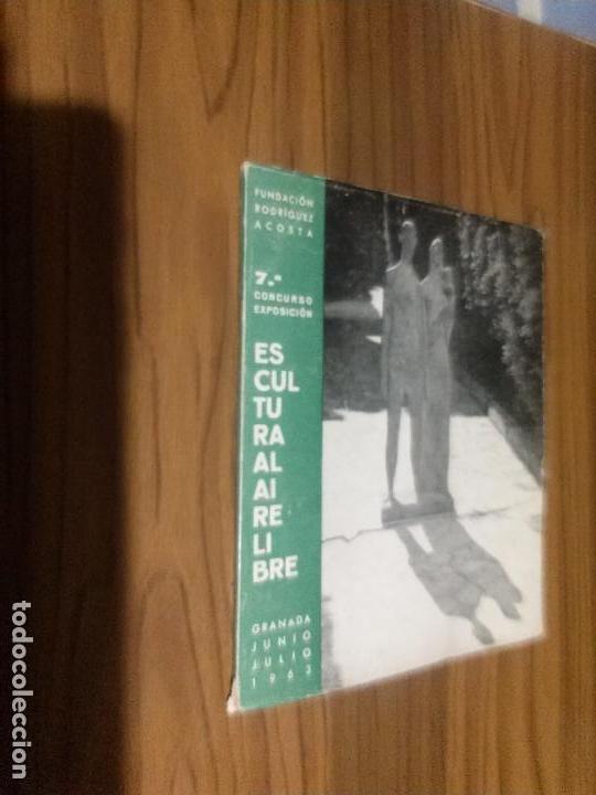 Art: ESCULTURA AL AIRE LIBRE. CAT&Aacute;LOGO. FUNDACI&Oacute;N RODRIGUEZ-ACOSTA. 1963. BUEN ESTADO. caj. 117